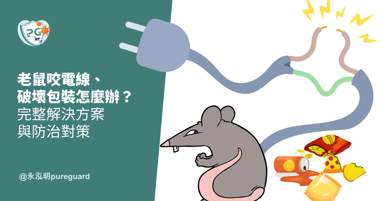 老鼠咬電線、破壞包裝怎麼辦？完整解決方案與防治對策