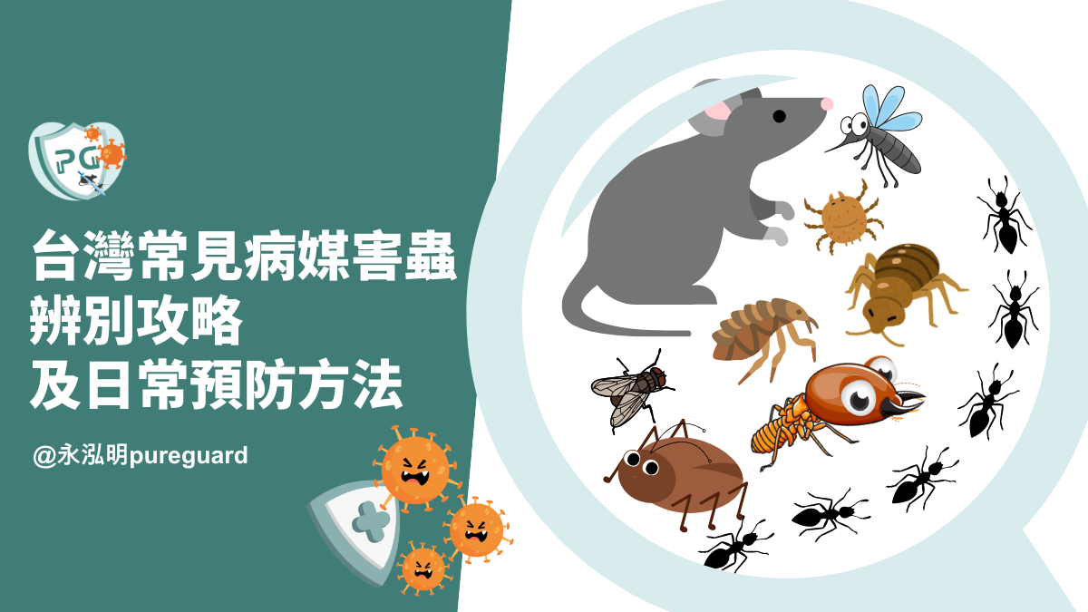 台灣常見病媒害蟲辨別攻略及日常預防方法
