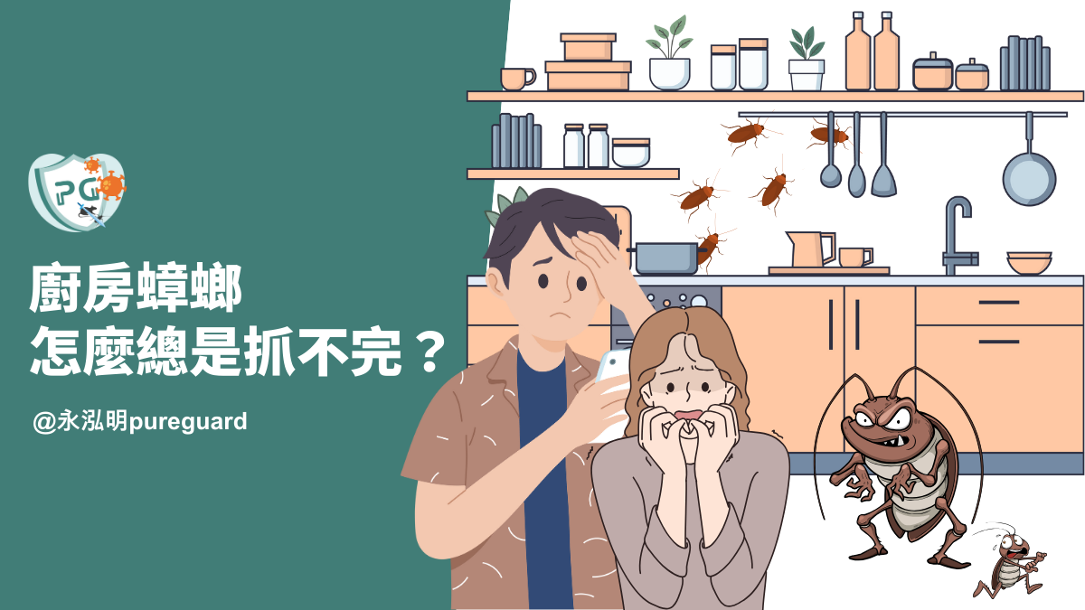 廚房蟑螂怎麼總是抓不完？