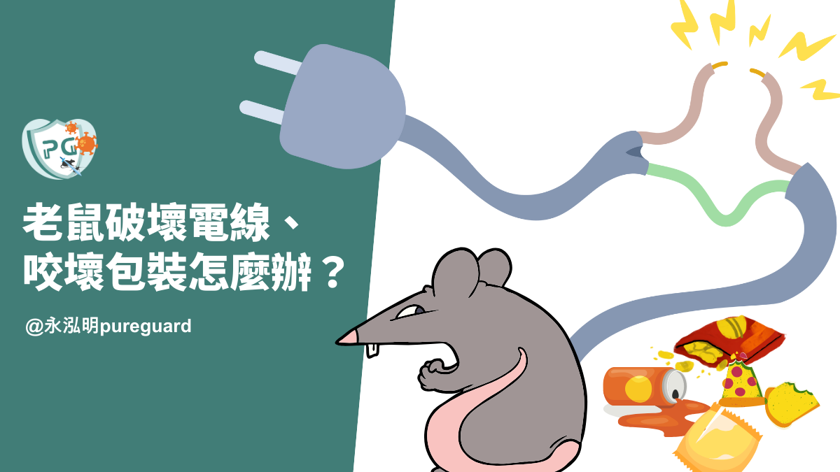老鼠破壞電線、咬壞包裝怎麼辦？