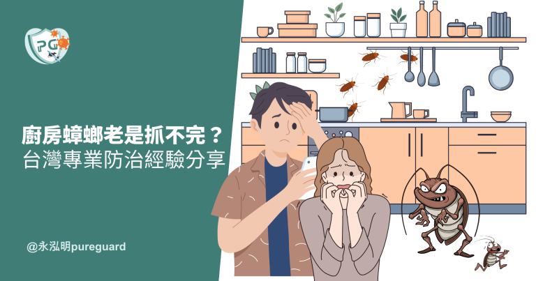 廚房蟑螂老是抓不完?台灣專業防治經驗分享