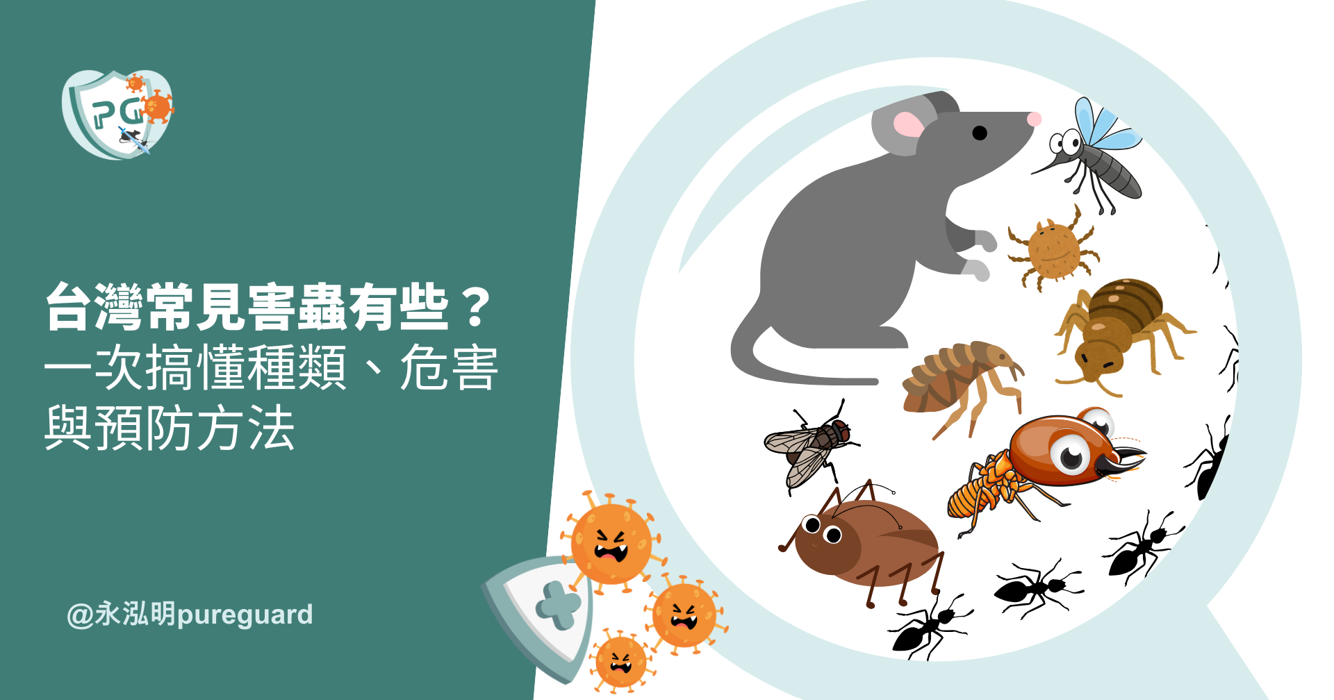 台灣常見害蟲種類、危害與日常預防方法整理