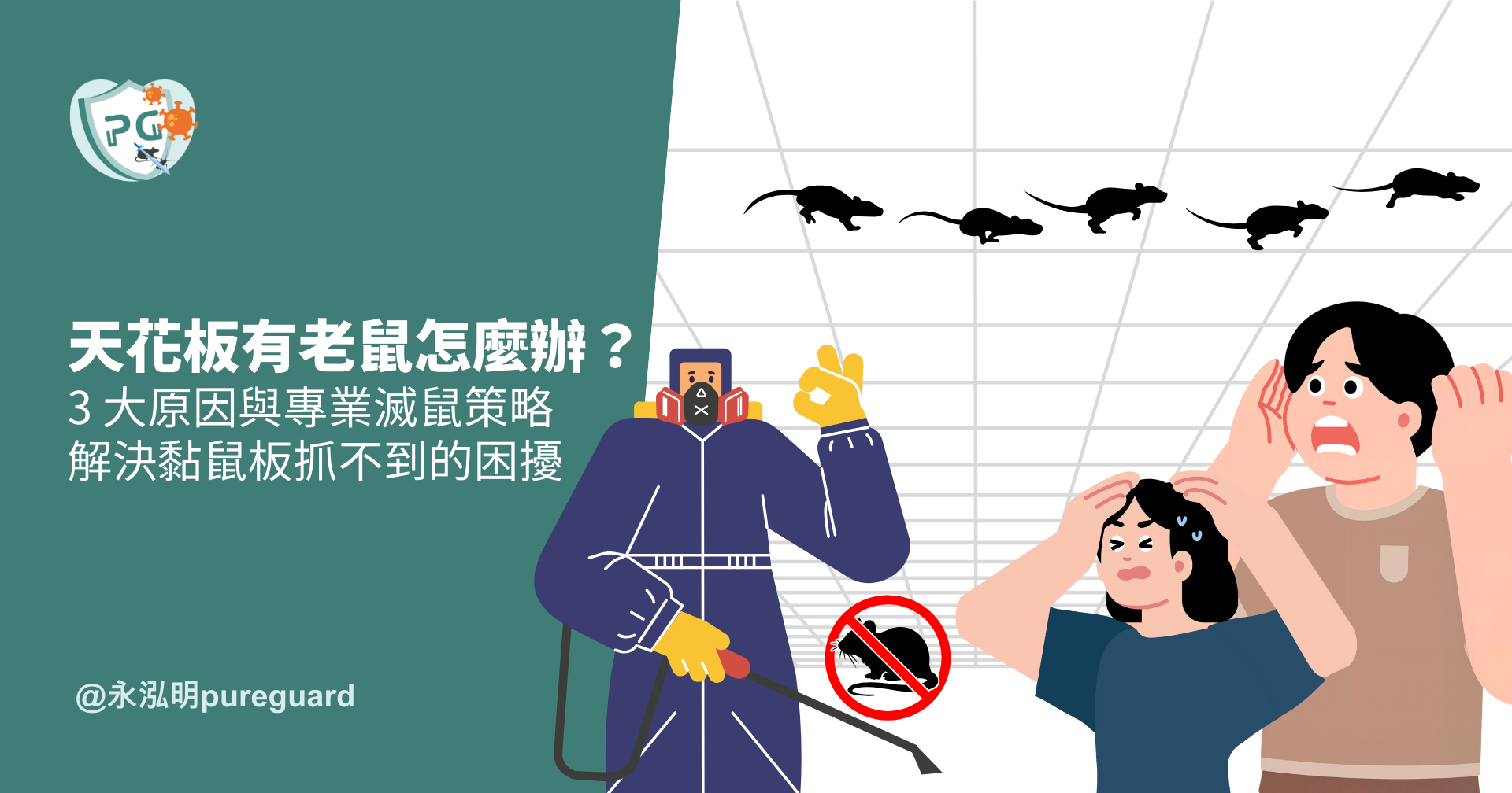天花板有老鼠怎麼辦？為什麼黏鼠板抓不到？專家破解 3 大原因
