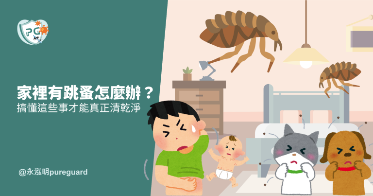 家裡有跳蚤怎麼辦?永泓明專業除跳蚤防治與辨識咬痕