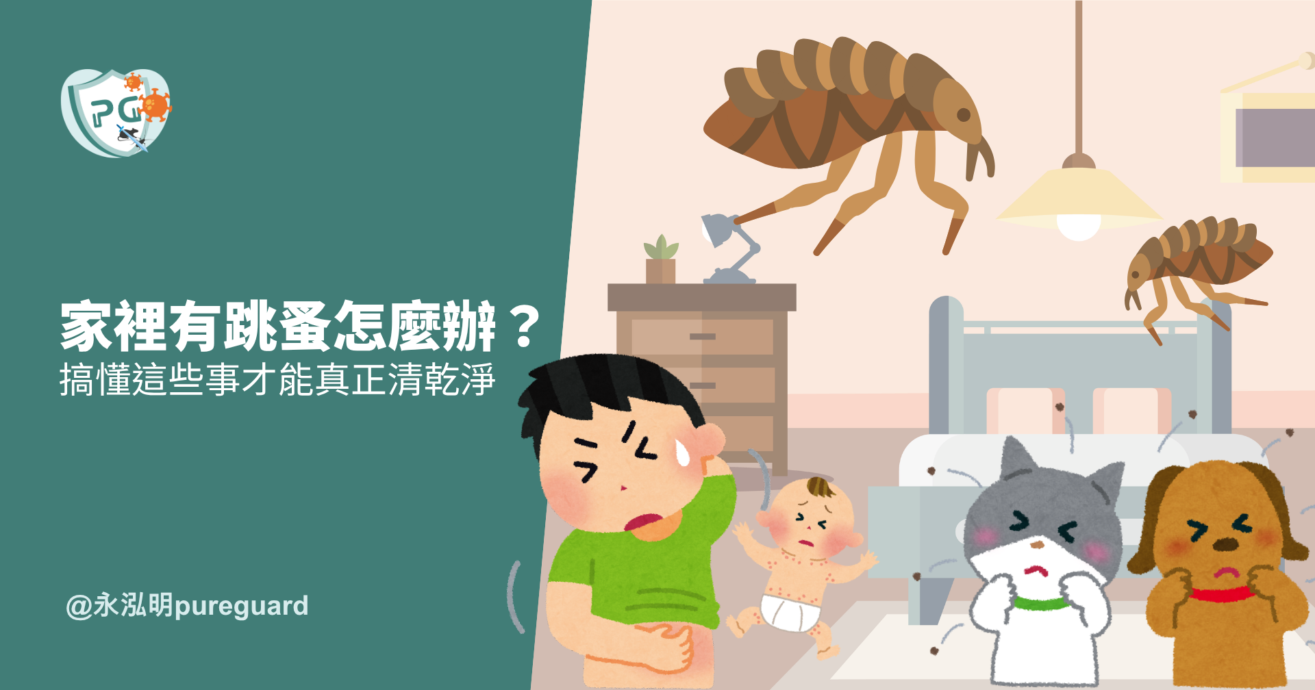 家裡有跳蚤怎麼辦？搞懂這些事才能真正清乾淨