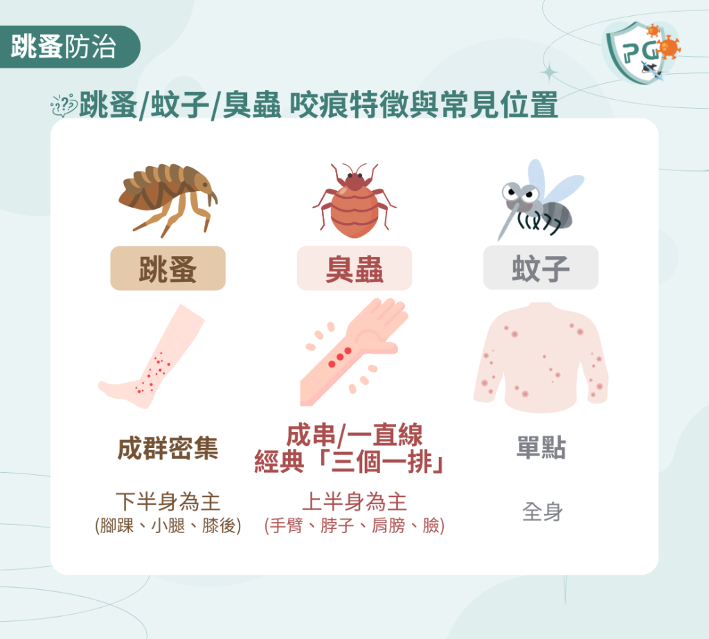 跳蚤咬痕 集中下半身 台北新北跳蚤