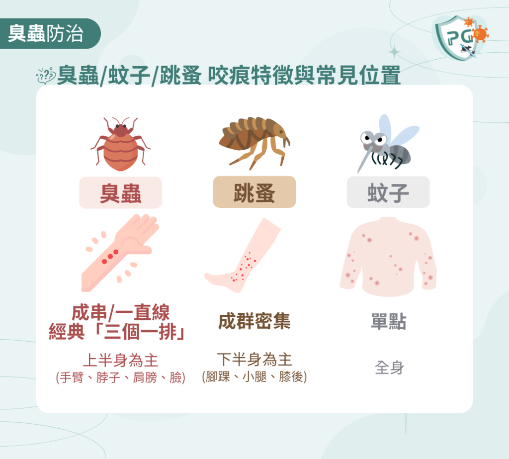 臭蟲咬痕 成串紅疹 一直線 台北新北臭蟲