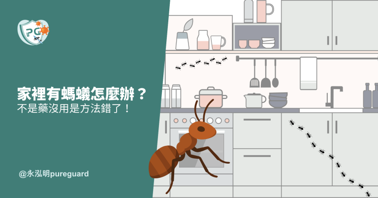 台北新北家中廚房螞蟻入侵路徑-永泓明除螞蟻
