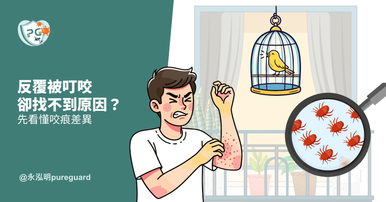 反覆被叮咬卻找不到原因?可能是禽蟎!