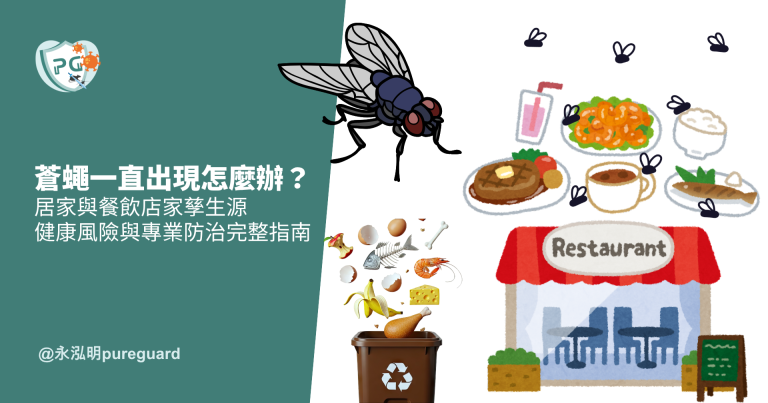 蒼蠅一直出現怎麼辦?居家與餐飲店家孳生源、健康風險與專業防治完整指南