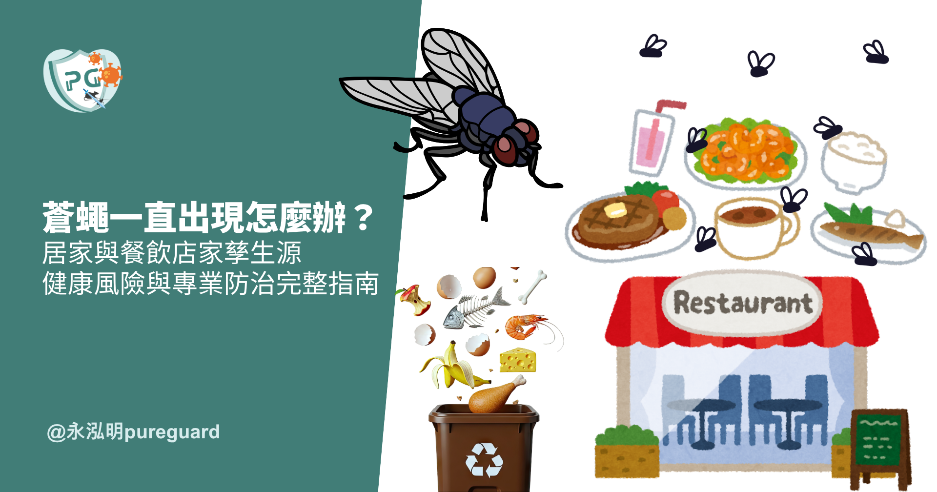 蒼蠅一直出現怎麼辦？居家與餐飲店家孳生源、健康風險與專業防治完整指南