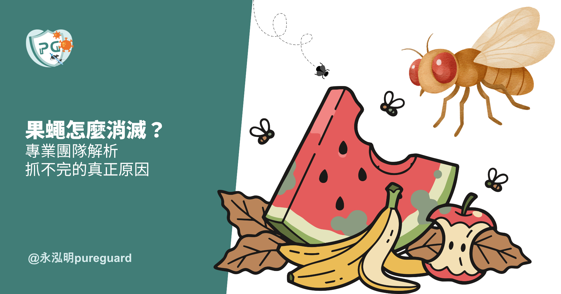 果蠅怎麼消滅？專業團隊解析抓不完的真正原因